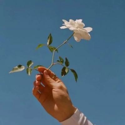 儿童安全趣味教育游戏下载